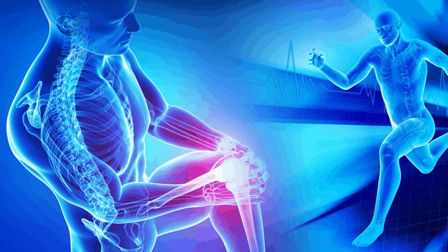Orthopedics & Joint Replacement Surgery